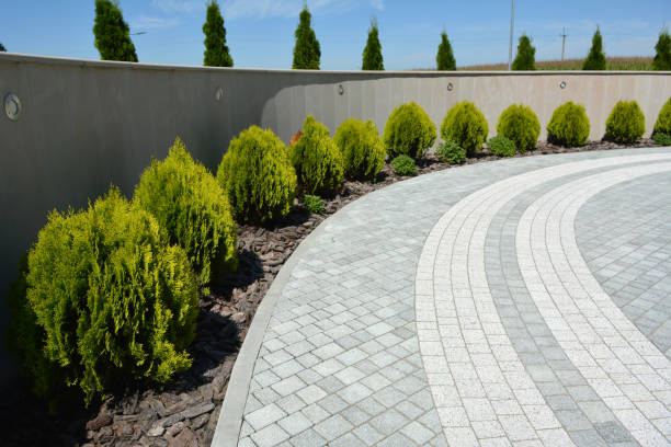Best Affordable Driveway Pavers  in Bayou Vista, TX